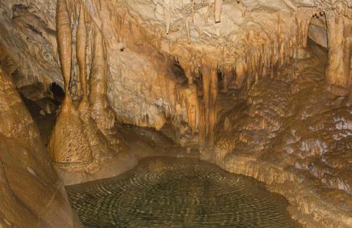 Apartamentos la Regoria - Foto 53