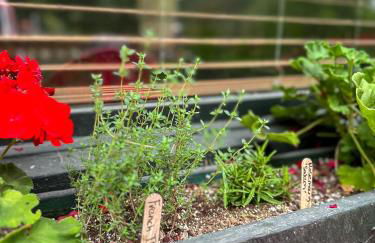 Lakefront Adirondack Cabin - Dock - Canoe - 10 min to Lake Placid - Photo 26