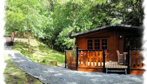 Blelham Tarn Rustic cabin in tranquil woodland - Foto 4, Garden