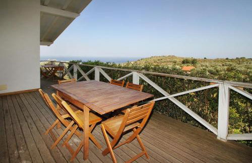 La Gabbianella E Il Gatto - Foto 42