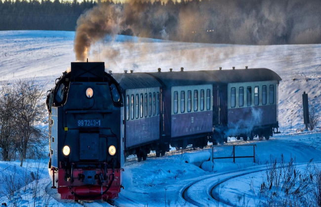 Doppelhaushalfte in Hasselfelde - Foto 20