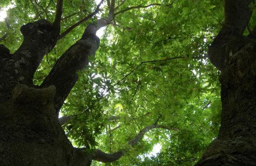 Hotel Geromichalos - Foto 54