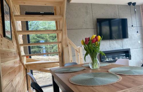 DOMKI NA SKARPIE - Foto 5