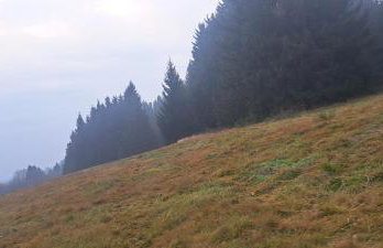 Dom Gościnny Zarembianka - Foto 50