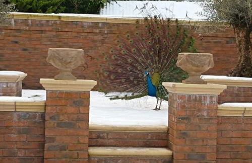 The West Wing at Eriviat Hall Hot Tub - Photo 65