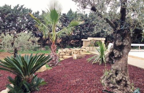 Gîtes Le Mas Guiraud - Foto 69