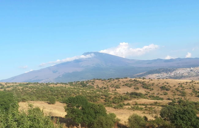 Belvilla by OYO Casa Otaiti - Foto 37