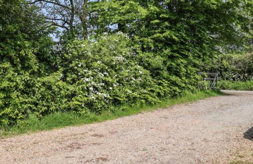 Six Acres House - Foto 57