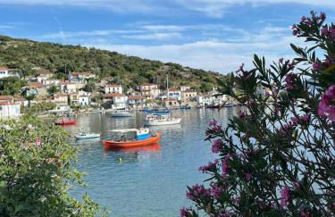 Olive Grove House - Foto 52