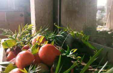 Finca rural House Tenerife Relax And Enjoy - Foto 27