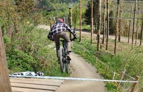 Große Ferienwohnung in Winterberg Hildfeld - Photo 33