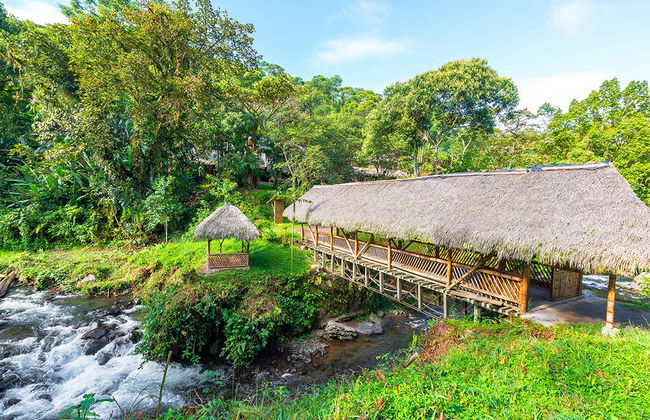 Excursión de un día completo a Mindo - Foto 1