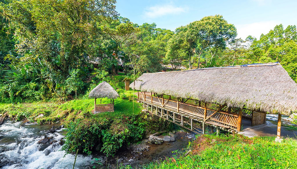 Excursión de un día completo a Mindo - Foto 1