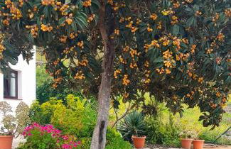 Casa El Nisperero - Foto 21