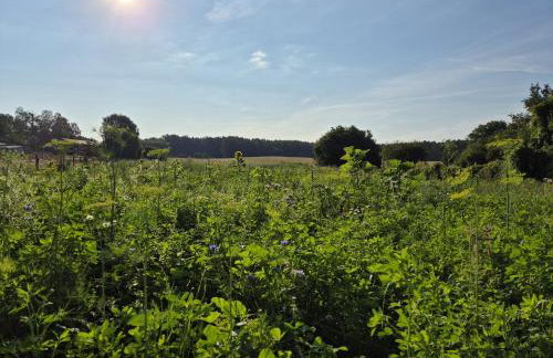 gemütliche Ferienwohnung in Seenähe - Foto 29