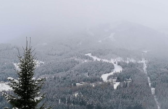 Belvilla by OYO Negritella Quadri Sette - Foto 22