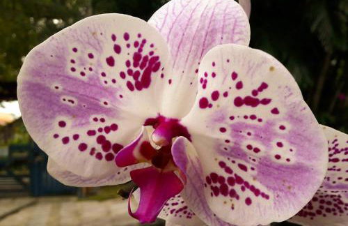 Studios Verdes hospedagens - Photo 50