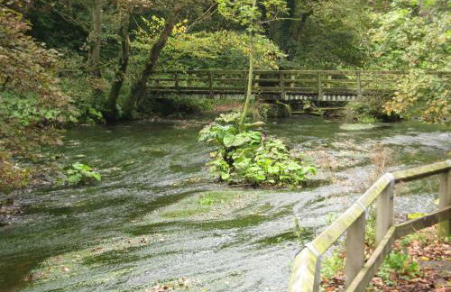 Litton Mill Apartment - Photo 19