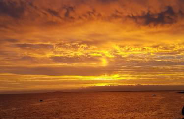 La Galiote, T2 vue port, terrasse et parking - Foto 51