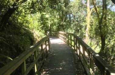 O Recuncho da Isa - Ribeira Sacra - Foto 40