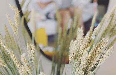 Graecus House - Foto 22