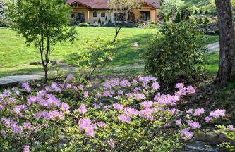 Apeldoorn House - 25 min to downtown Asheville - Foto 7