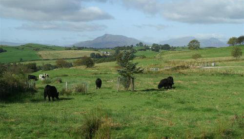 Swn Yr Aber - Foto 3, Other