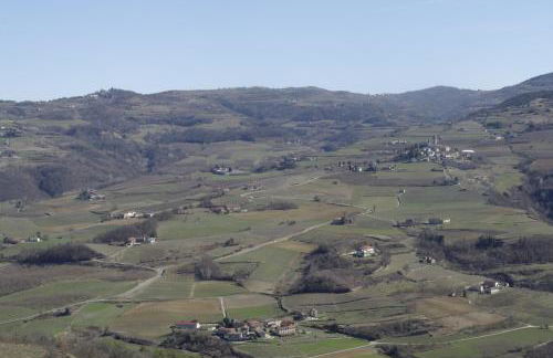 casa banana - Foto 25