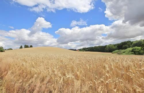 Zur Schwalbe - Photo 8