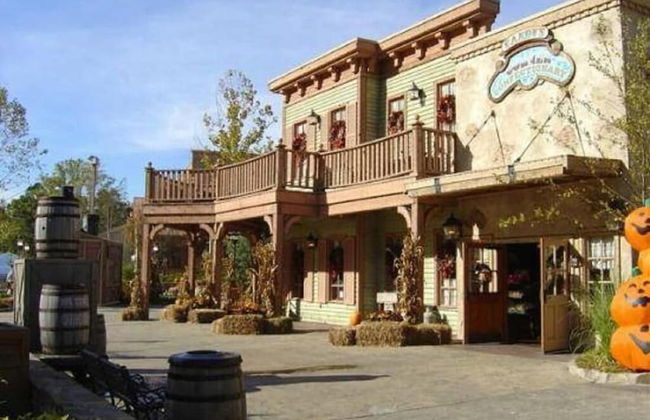 The Stone Crest Villa - Near Stone Mountain Park - Foto 49