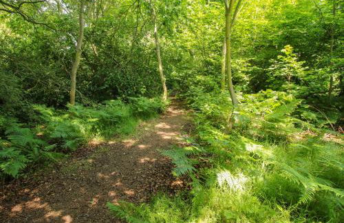 The Olde Cow House - Foto 58