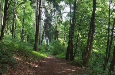 ferienwohnungen.ruhla - Foto 29