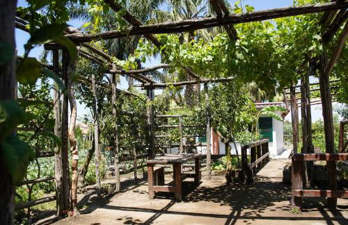 La Sorrentina - Foto 29