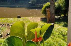 Chácara Privativa com Quadra de Beach Tennis - Foto 27