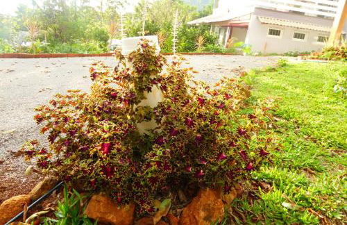 Villa Holística - Foto 62