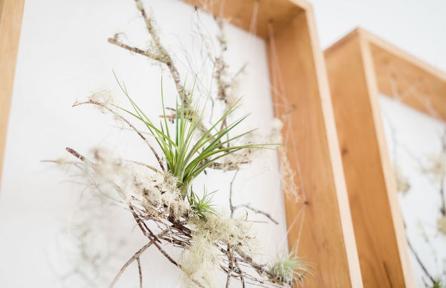 Apartamentos Praça Amarela - Foto 58