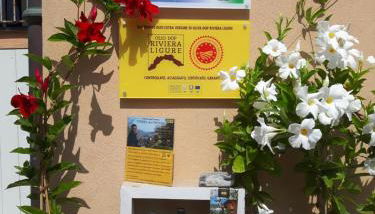 Loft al mare - Photo 3