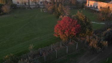 Borgo Rinascimento - Foto 1, Garden