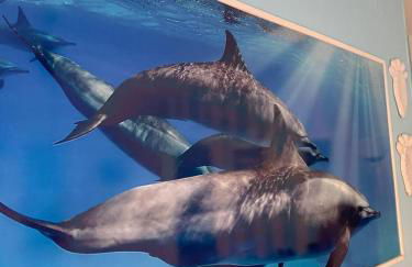 Via Mozart Apartment - Foto 18