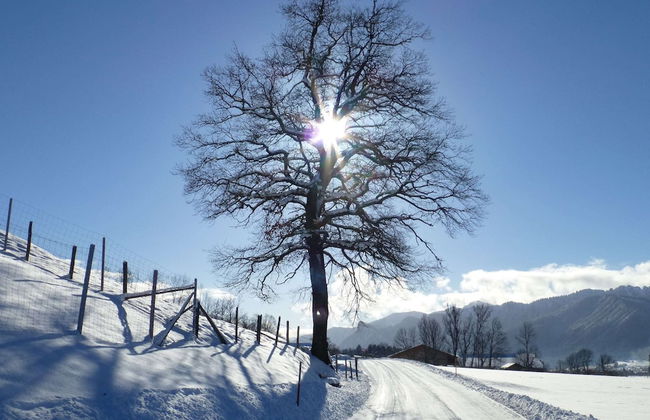 Cozy Alpine Flat in Altenau - Foto 20