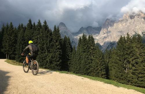 CASA BERNARD Zortea VANOI cuore verde del Trentino - Foto 32