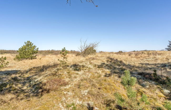 "Ødke" - 3.5km from the sea - Foto 10