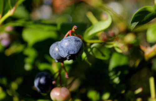 Dom na wodzie Mazury - Foto 39