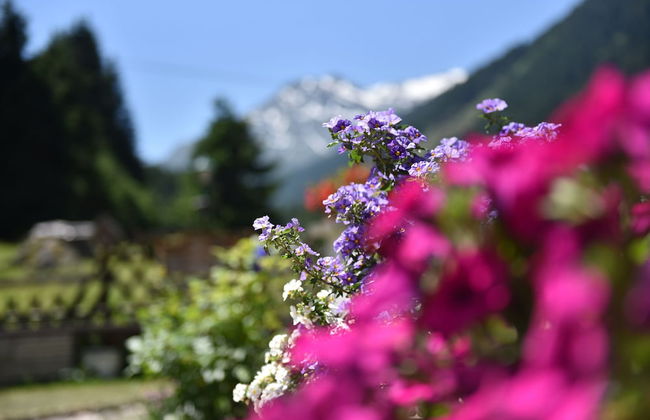 Apartment Fernerkogel - Foto 41