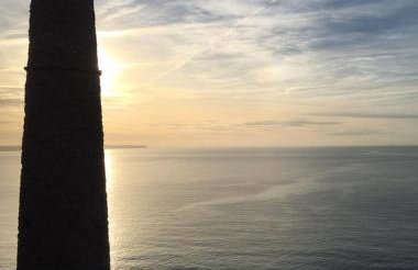 White Willows - Photo 17