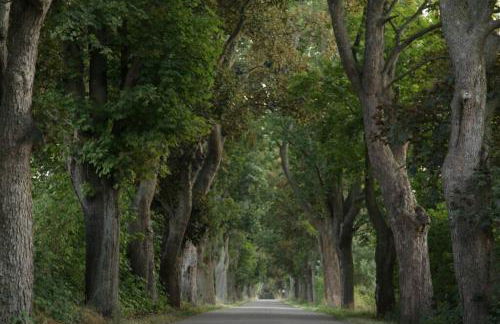 Ferienwohnung in Peetzig am See - Foto 53