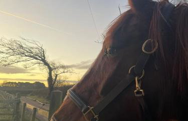 Spinnaker Barn, boutique, cute barn with hot tub - Foto 36