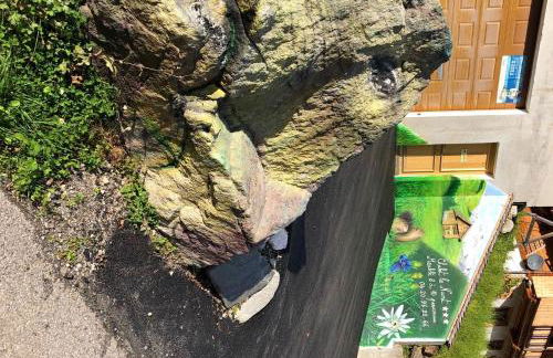 Appartement convivial à Hauteluce 64 m² avec vue sur la montagne - Foto 36