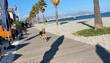 VILLENEUVE LOUBET PLAGE- Entre NICE et CANNES - Foto 4
