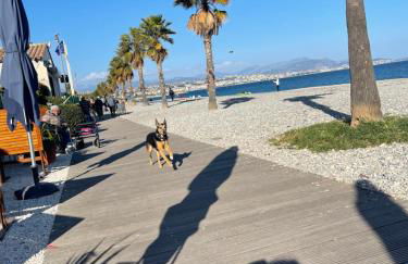 VILLENEUVE LOUBET PLAGE- Entre NICE et CANNES - Foto 4